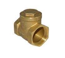 AQUA Brass Check Valves 25 mm_0