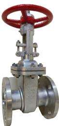 RAJ-TEK 65 mm Manual Stainless Steel Gate Valves Flanged_0