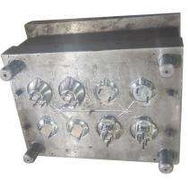 Infinity 300 x 250 mm Plastic Injection Die IPM 50 ton_0