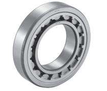 NTN Single Row Cylindrical Roller Bearing NU264_0