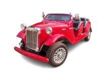 Speedigo BEETLE Electric Vintage Buggy Car_0