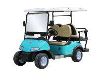 Speedigo SPG 2+2 Electric 4 Seater Golf Cart_0