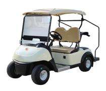 Speedigo SPG 2 Electric 6 Seater Golf Cart_0