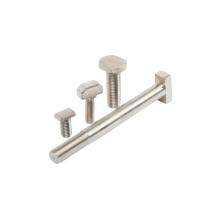 BIF M36 Stainless Steel T Bolt 316 100 mm_0