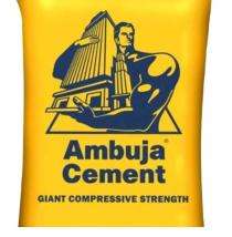 Ambuja Cement OPC 53 Grade Cement 50 kg_0