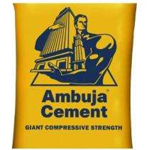 Ambuja Cement PPC 43 Grade Cement 50 kg_0
