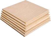 TS 9 mm Waterproof Plywood 8 x 6 ft IS 710_0