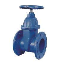 Sigmaflow 65 mm Manual Ductile Iron Gate Valves Double Flanged_0