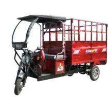 Neelam Ruff Tuff Electric Rickshaw Loader_0