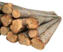 SBSM Sal Wood Timber 6 x 5 inch_0