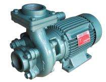 Texmak BMH 202 2 hp 2800 rpm Monoblock Pumps_0