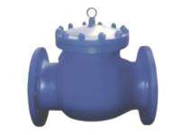 Sigmaflow Swing CI Non Return Valves 600 mm Double Flanged_0