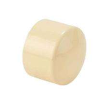 Finolex CPVC End Plugs 20 mm_0