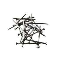 SHREE IRON 0.134 Inch Mild Steel Round Wire Nail 2.5 Inch_0