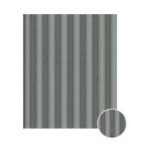 Pare Innov2+ Dome Argento Polymer Wall Cladding 1 mm_0