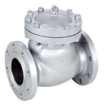 PMTS 48 inch Manual Carbon Steel Check Valves Flanged_0