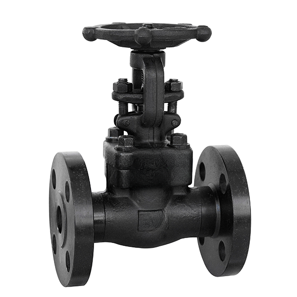 Ideal 15 mm Manual Forged Steel Gate Valves Flanged_0