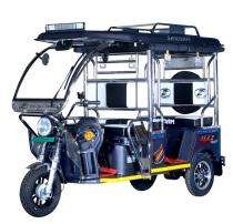 Sargam 120 km 48 V Electric Rickshaw_0