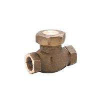 Connect 100 mm Manual Brass Check Valves Screwed_0