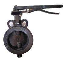 Mitesh 1 inch Manual Cast Iron Butterfly Valve KBI 0056_0