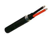 Polycab Aluminium PVC Armoured PVC LT Power Cables 2 Core 6 sqmm 1100 V_0