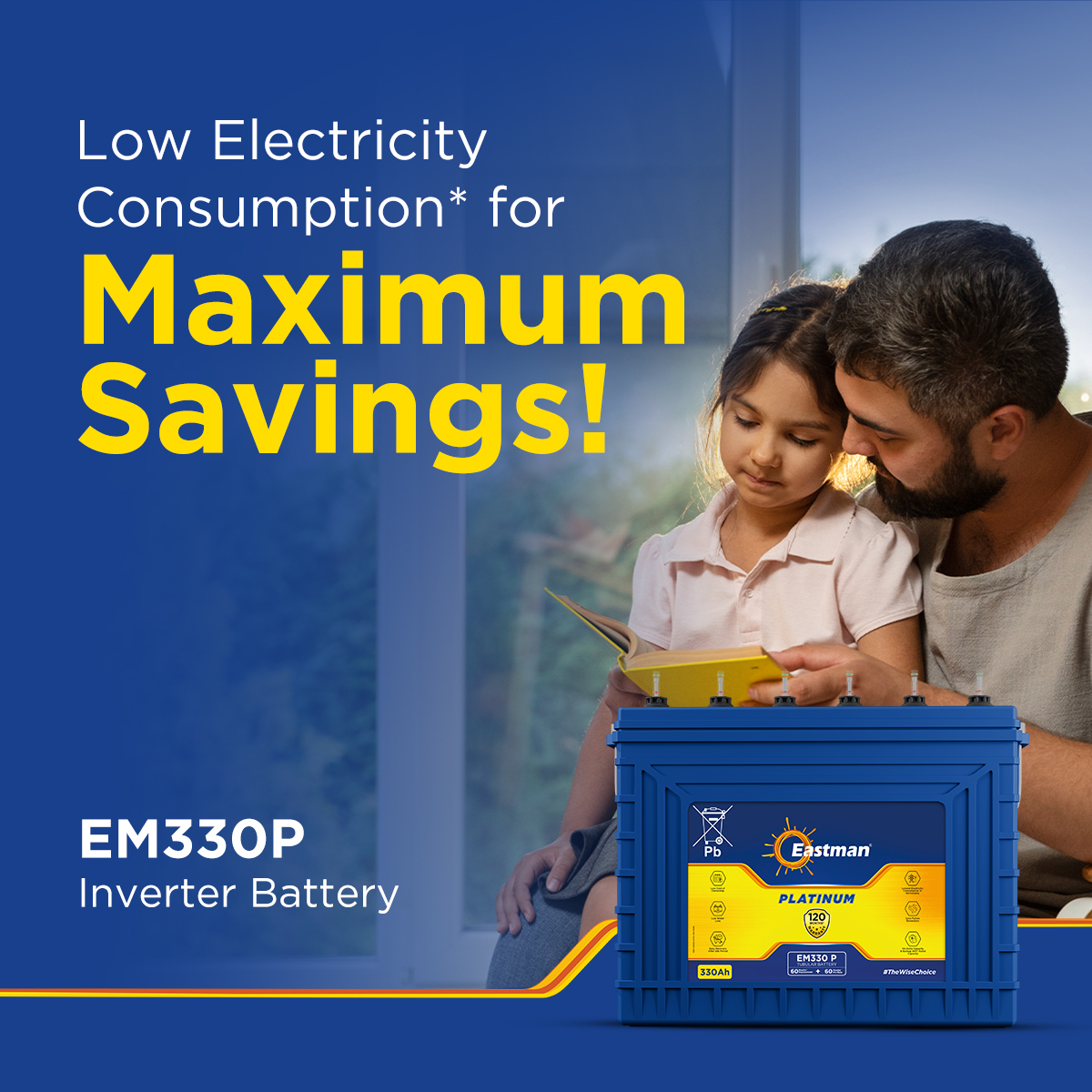 Eastman EM330P Flooded 12 V 330 Ah Lead Acid Batteries_3