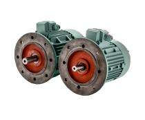 TMM 1GA11A0FB11A0AAA11A 2870 rpm Three Phase 0.75 hp Double Pole Flange Mounted AC Motors_0