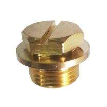 Brass Pipe Plugs 20 mm_0