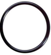 BRI 10 mm Viton O Rings_0