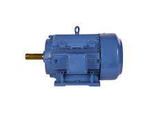 Bharat Bijlee IE3 3000 rpm Three Phase 3 hp Double Pole Foot Mounted AC Motors_0