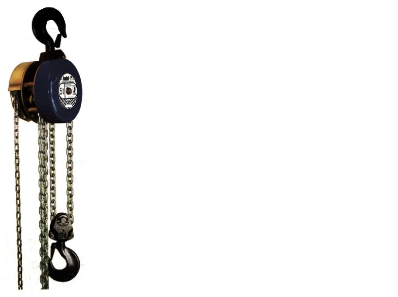 RAJA 1.5 T Chain Pulley Block 3 m 310 N_2