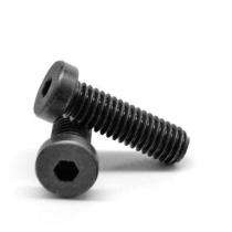 Avighan AB M10 Low Head Hex Socket Head Screw 8.8 IS 2269 Plain Black_0