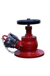 Kartik Stainless Steel Single Headed Hydrant Valves_0