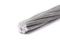 NPC 100 sqmm Dog AAAC Conductor_0