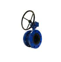 SHITAL 10 inch Manual Cast Iron Butterfly Valve Centric Disc Type_0