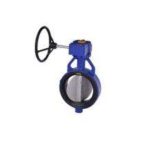 SHITAL 8 inch Manual Cast Iron Butterfly Valve Wafer Disc Type_0