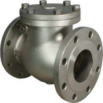 KSB Controls Swing CS Check Valves 4 inch_0