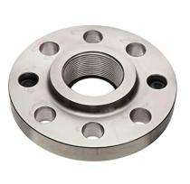 Amritlal Stainless Steel Threaded Flanges 3 in Class 150_0