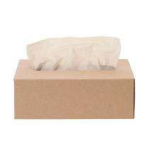Facial Tissue Paper 30 x 30 cm White_0