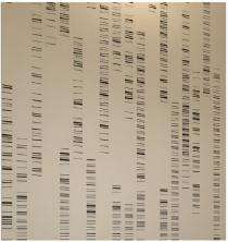 Reynoarch SAP08 Cream Aluminium Wall Cladding 2 mm_0
