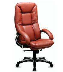 Zitten Executive Brown 1232 x 660 mm Metal Office Chairs_0