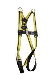 Black Dragon by Todi Mills Polyester Full Body Class E Safety Harness Free Size_0