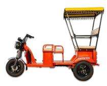 Mayuri 85 km 135 Ah Electric Rickshaw_0