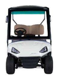 Saera G-100 2 Seater Golf Cart_0