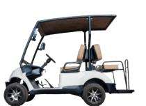 Saera L-300 4 Seater Golf Cart_0