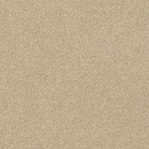 Milano 65051 600 x 600 mm Cream Sugar Porcelain Tile_0