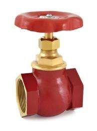 DRP 40 mm Manual Bronze Globe Valves Screwed Female_0