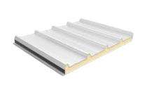 Mount PUF 50 mm Roof Panel_0