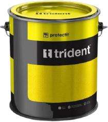 TRIDENT Epoxy Zinc Phosphate Primers Liquid Grey 4 L_0
