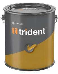 TRIDENT Solvent Based 4 L Acrylic Paint_0